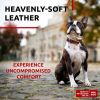 Brown Soft Leather Dog Collar Adjustable Padded for Small Dogs 12-15 inch Neck